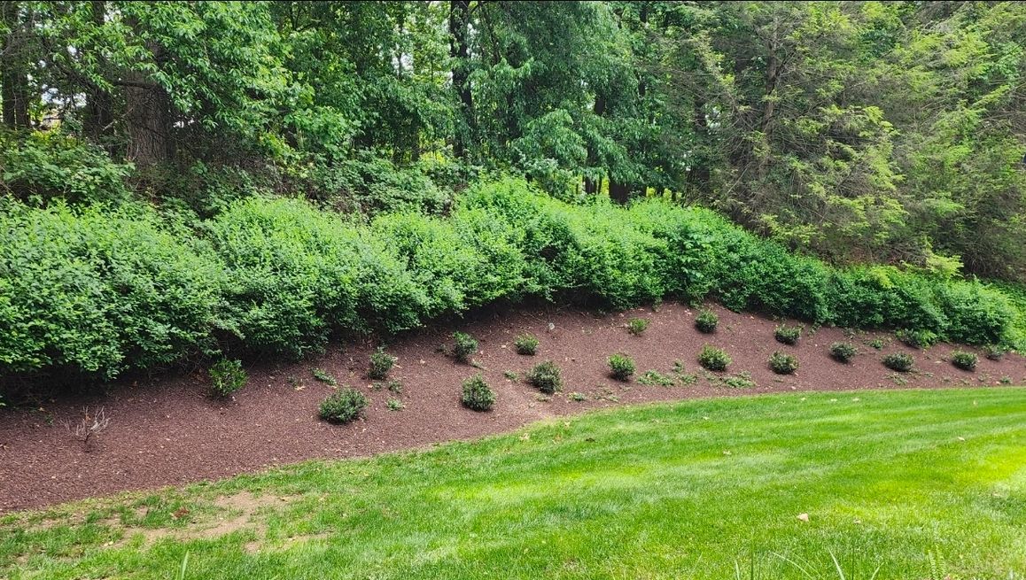 Finished landscape bed by Royals Lawn Care