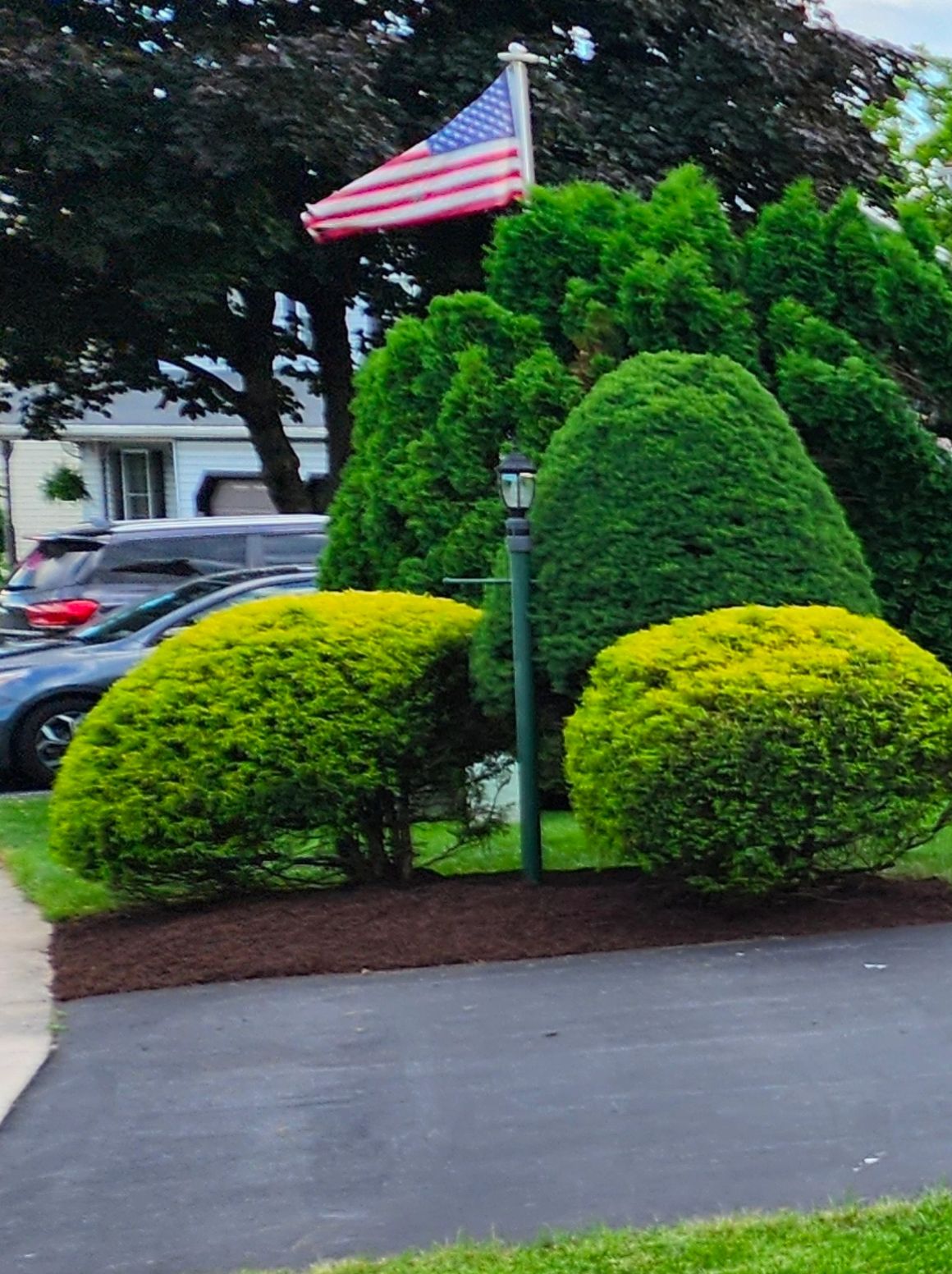 Fresh landscape work by Royals Lawn Care