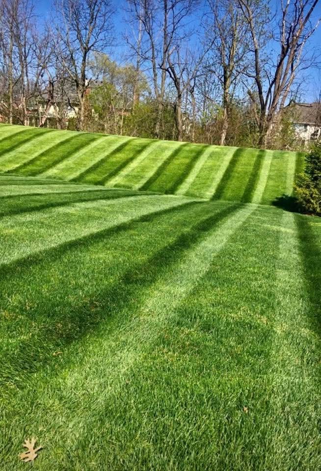 Striped Lawn Detail by Royals Lawn Care
