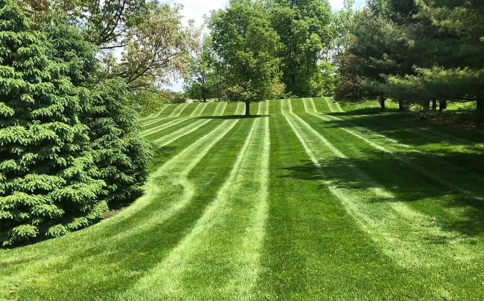 Residential Mowing by Royals Lawn Care